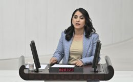 DEM Partili vekilden Meclis’te küstah sözler! “Öcalan’a özgürlük” istedi