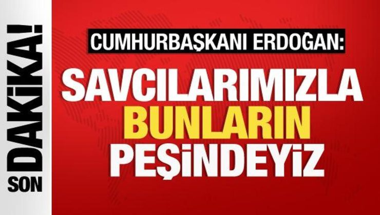 Cumhurbaşkanı Erdoğan: 29 vatandaşımızın ölümüne göz yumanların peşindeyiz