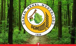 Orman Genel Müdürlüğü en az ilkokul mezunu personel alacak! İŞKUR başvurusu nasıl yapılır?