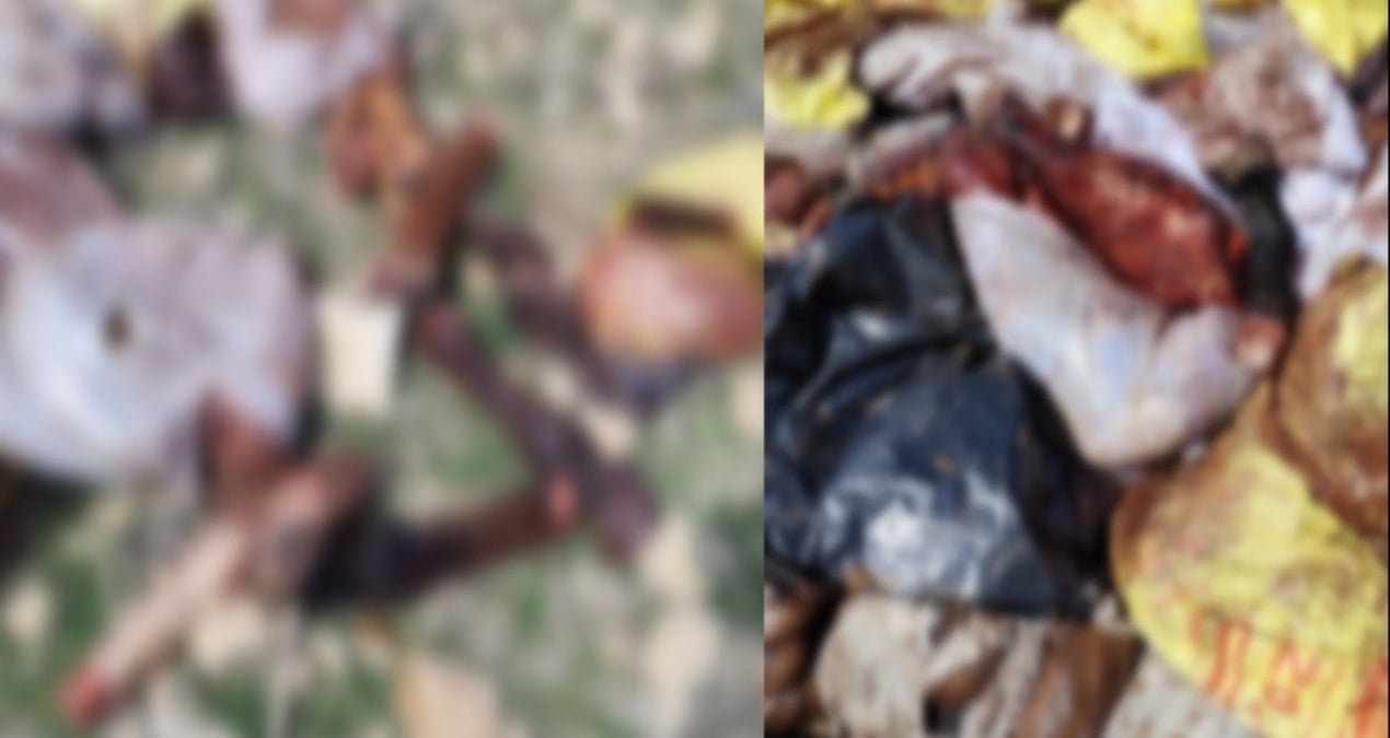 Yakalanmasa soframıza kadar gelecekti: At ve eşek eti keserken yakalandı